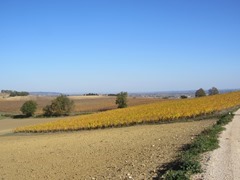 IMG_3200