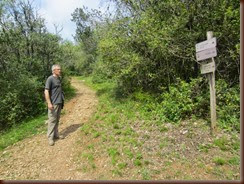 rom-chemin_5564