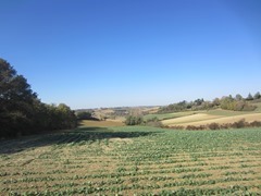 IMG_3165