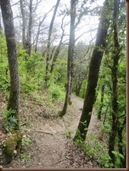 sentier_5320