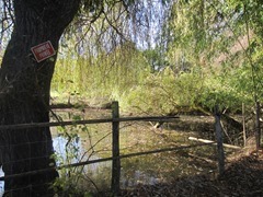 IMG_3259