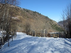 IMG_3614