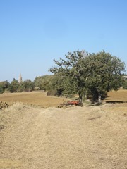 IMG_3147