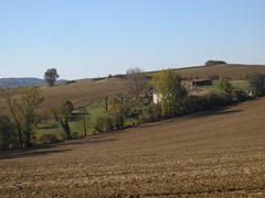 IMG_3151