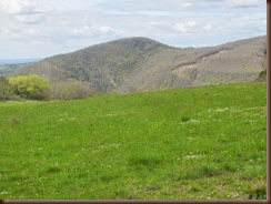 prairie_5360