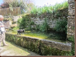 lavoir-grenouille-meliss_5544