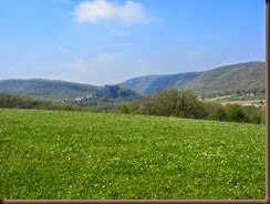 paysage-prairie_5543