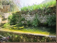 lavoir-grenouilles_5546