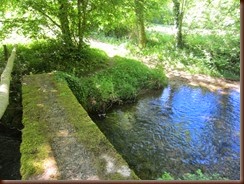 IMG_2163
