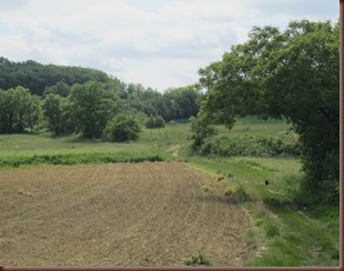8_paysage_0008