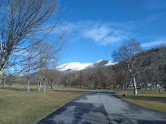 IMG_20160120_114010