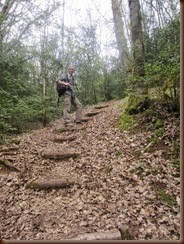 rom-sentier-5333