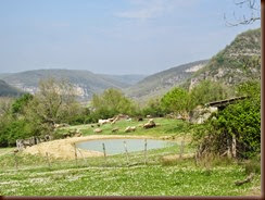 bergerie_5540
