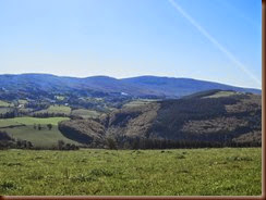 IMG_1236