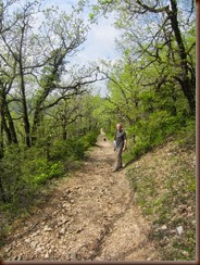 rom-chemin_5573