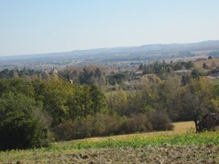 IMG_3146