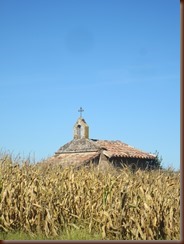 IMG_2965