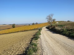 IMG_3199